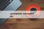 surveyhead（surveyheads）